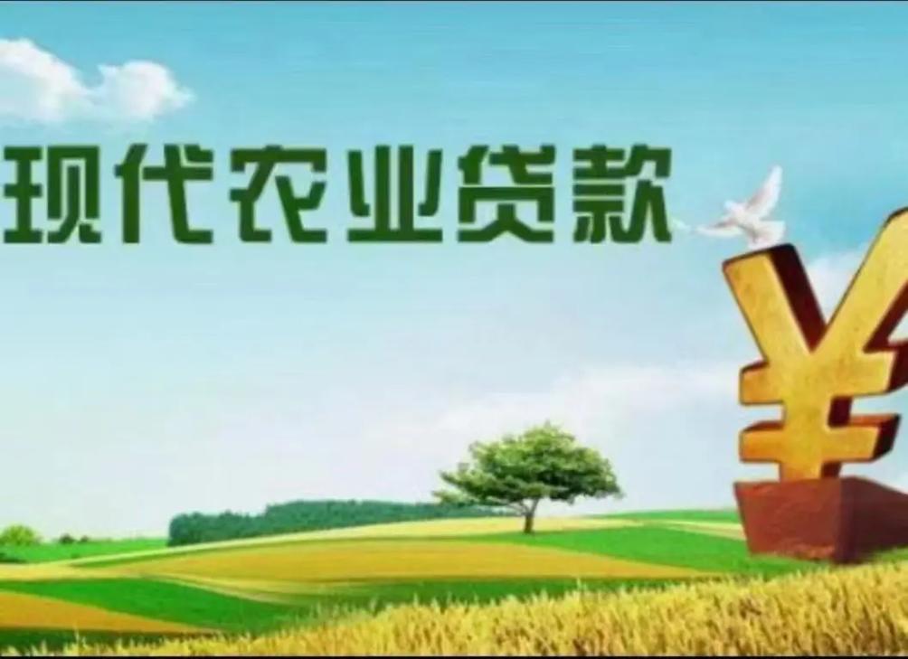 广州海珠贷款公司助力实现财富增值(广州海珠区贷款公司)